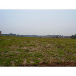 DSCN2420.JPG