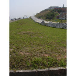 DSCN2426.jpg