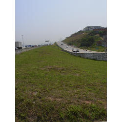 DSCN2427.jpg