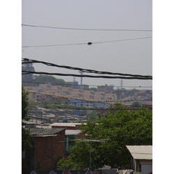 DSCN2428.jpg