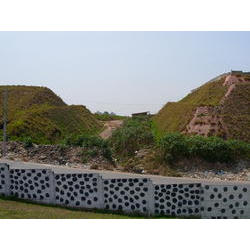 DSCN2433.JPG