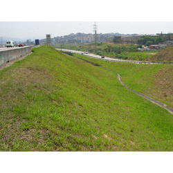 DSCN2437.JPG