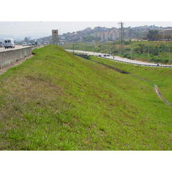 DSCN2438.JPG