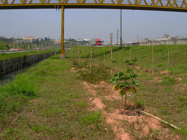 DSCN2445.JPG