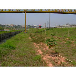 DSCN2445.JPG