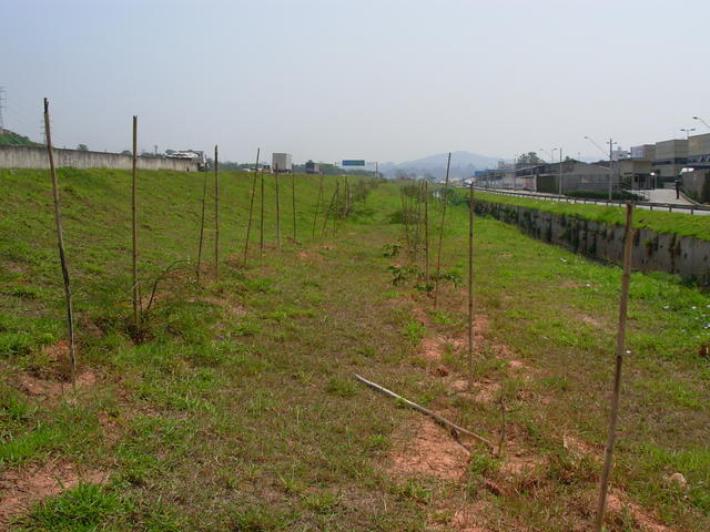 DSCN2446.JPG