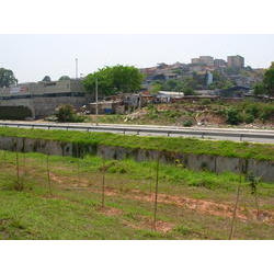 DSCN2447.JPG