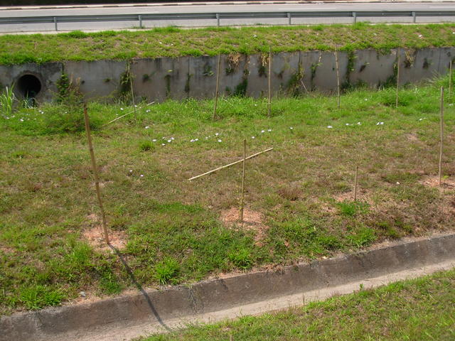 DSCN2449.JPG