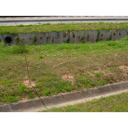 DSCN2449.JPG