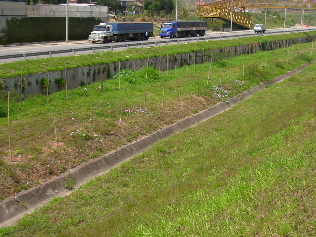 DSCN2450.JPG