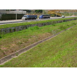 DSCN2450.JPG