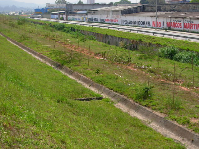 DSCN2451.JPG