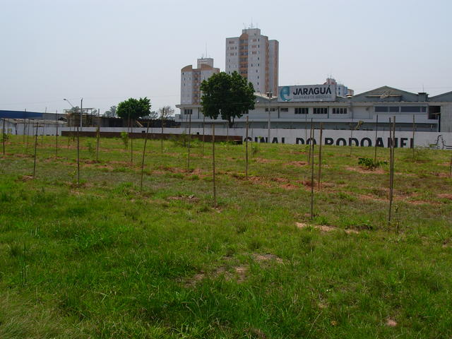 DSCN2456.JPG