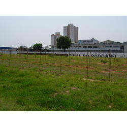 DSCN2456.JPG