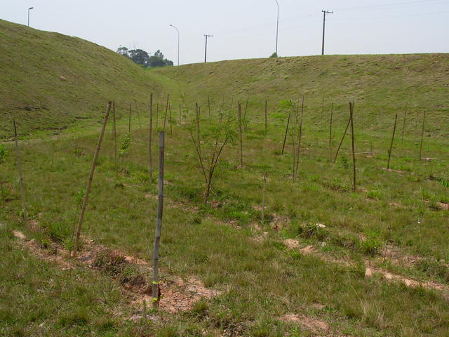 DSCN2461.JPG