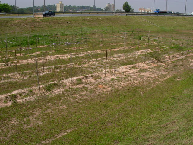 DSCN2462.JPG