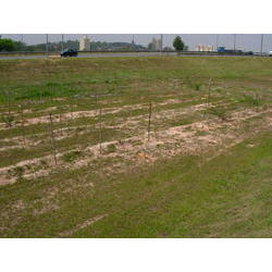 DSCN2462.JPG