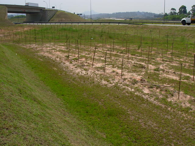DSCN2463.JPG