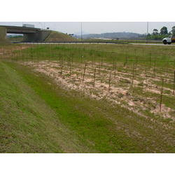 DSCN2463.JPG