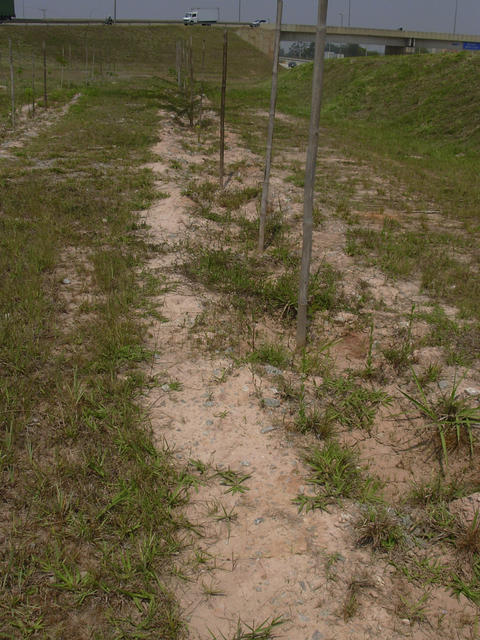 DSCN2465.jpg