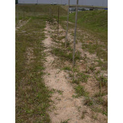 DSCN2465.jpg