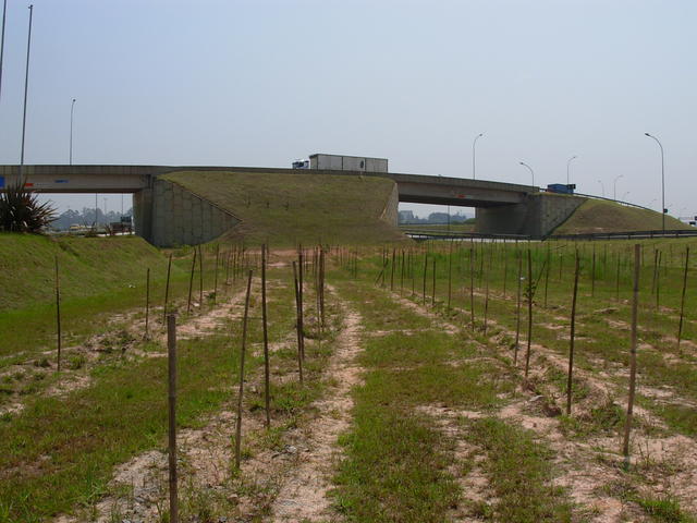 DSCN2467.JPG