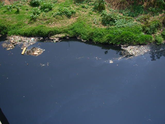 DSCN2471.JPG