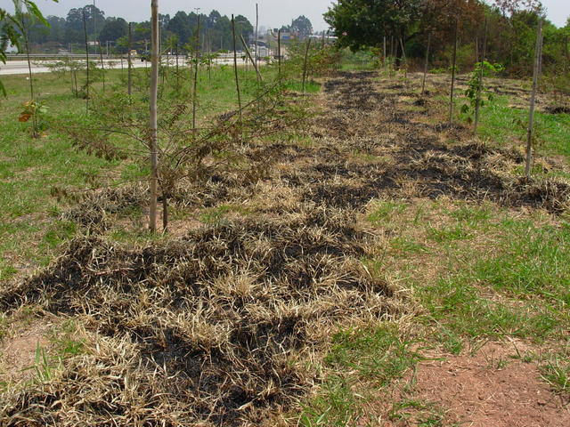 DSCN2472.JPG