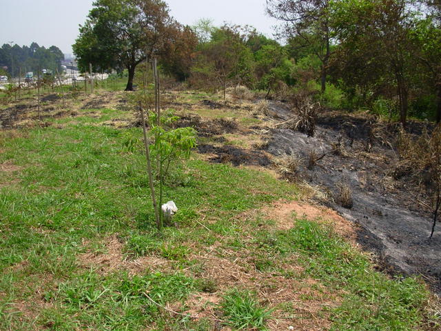 DSCN2473.JPG