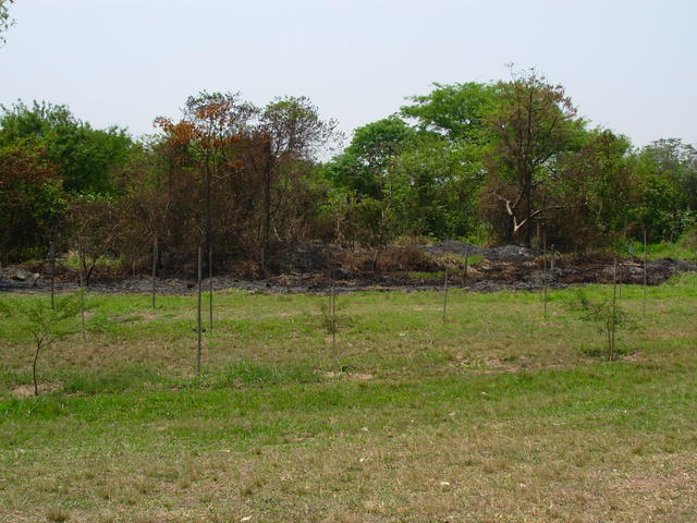 DSCN2476.JPG