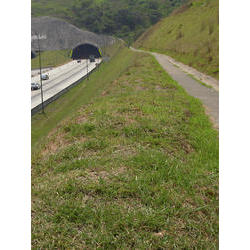 DSCN2481.jpg