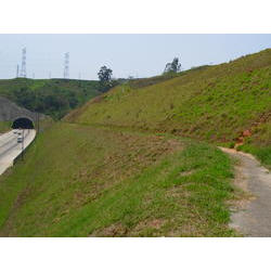 DSCN2485.JPG