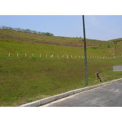 DSCN2493.JPG