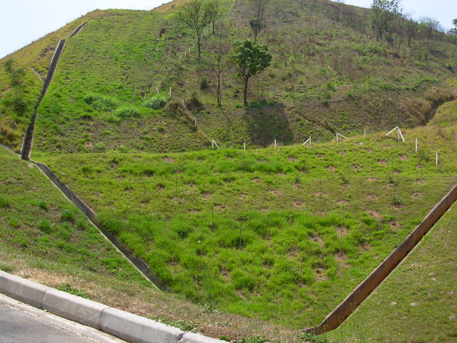 DSCN2494.JPG