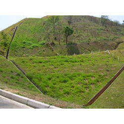DSCN2494.JPG