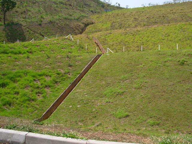 DSCN2495.JPG