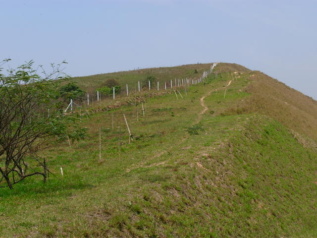 DSCN2498.JPG