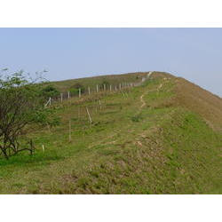 DSCN2498.JPG