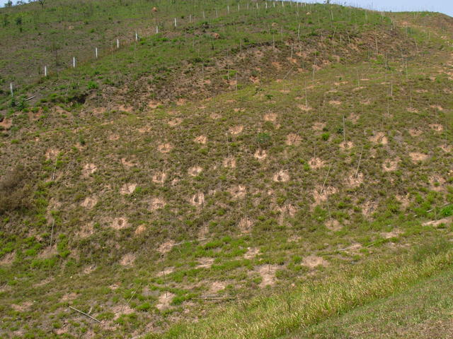 DSCN2500.JPG