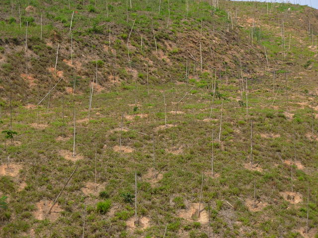 DSCN2502.JPG