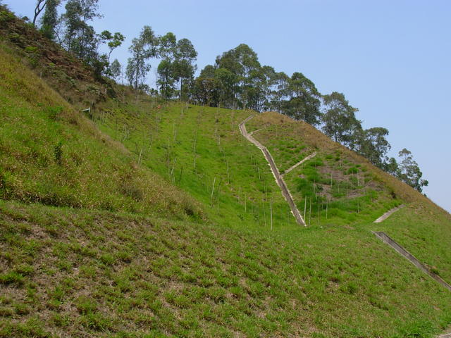 DSCN2503.JPG