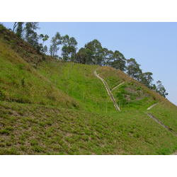 DSCN2503.JPG