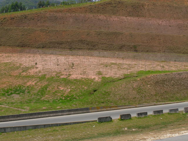 DSCN2512.JPG