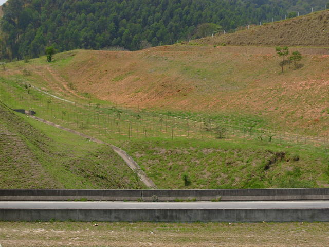 DSCN2513.JPG