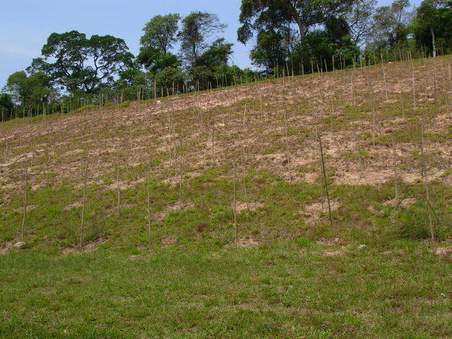 DSCN2519.JPG