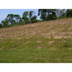DSCN2519.JPG