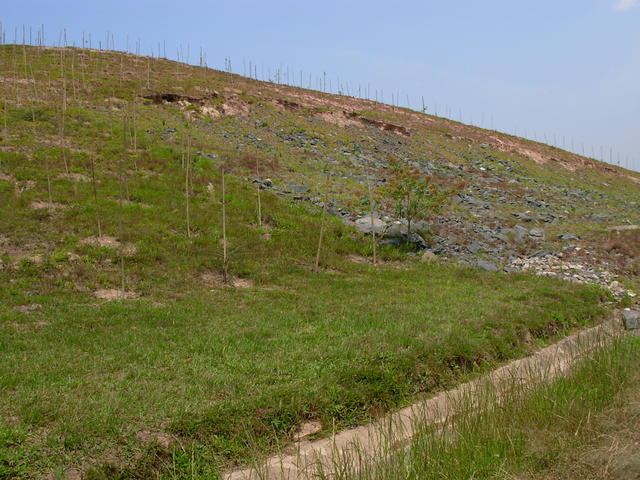 DSCN2520.JPG