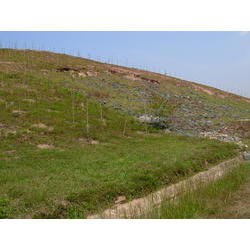 DSCN2520.JPG