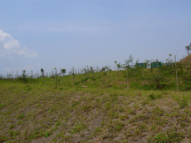 DSCN2522.JPG