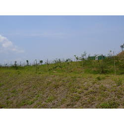 DSCN2522.JPG
